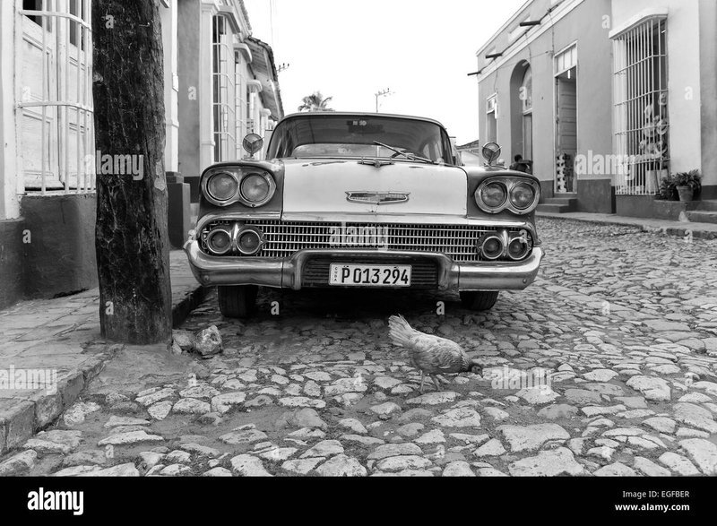 A look at chicken road