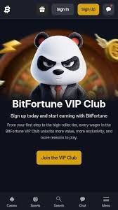 Discover the Best Crash-Style Games at Bitfortune -1344047793
