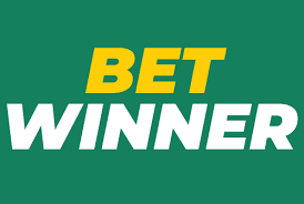 Explore the BetWinner Platform Your Gateway to Online Betting 523310301