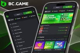 Exploring BC.Game The New Frontier of Online Gaming in Kazakhstan