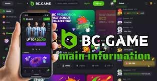 Official BC.Game App Your Gateway to Versatile Gaming