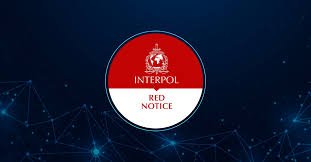 Understanding the Role of Interpol Defense Lawyers 1336948738