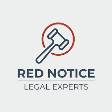 Understanding the Role of Interpol Defense Lawyers 1336948738