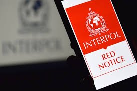 Understanding the Role of Interpol Defense Lawyers 1336948738