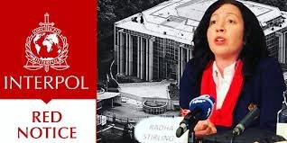 Understanding the Role of Interpol Defense Lawyers 1327175832