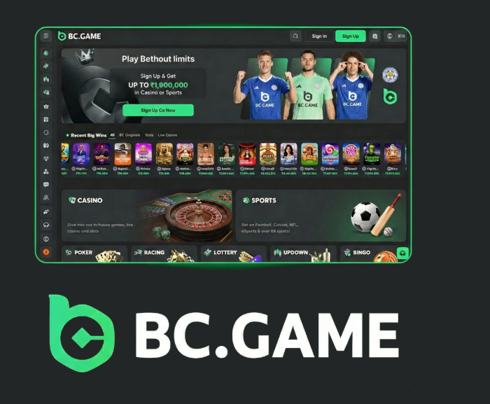Play at BC.Game Argentina The Ultimate Casino Experience